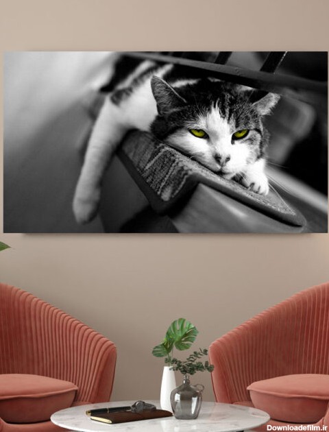 تابلو گربه سیاه و سفید