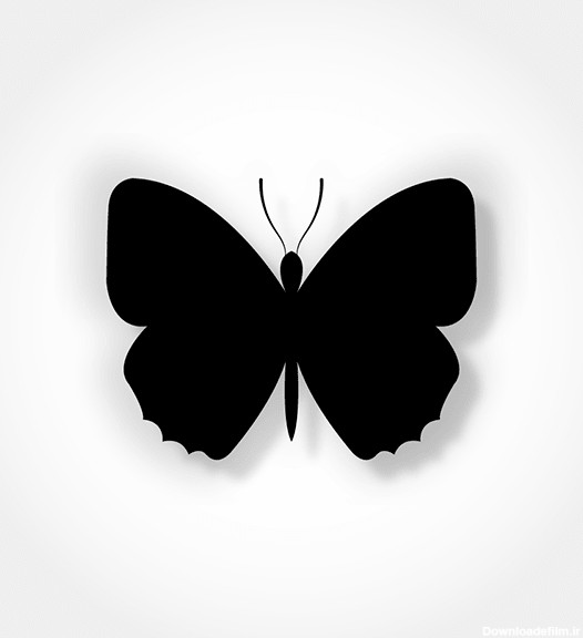 وکتور پروانه سیاه و سفید 20 | وکتورلو