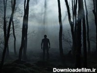 عکس جنگل نفرین شده ایران