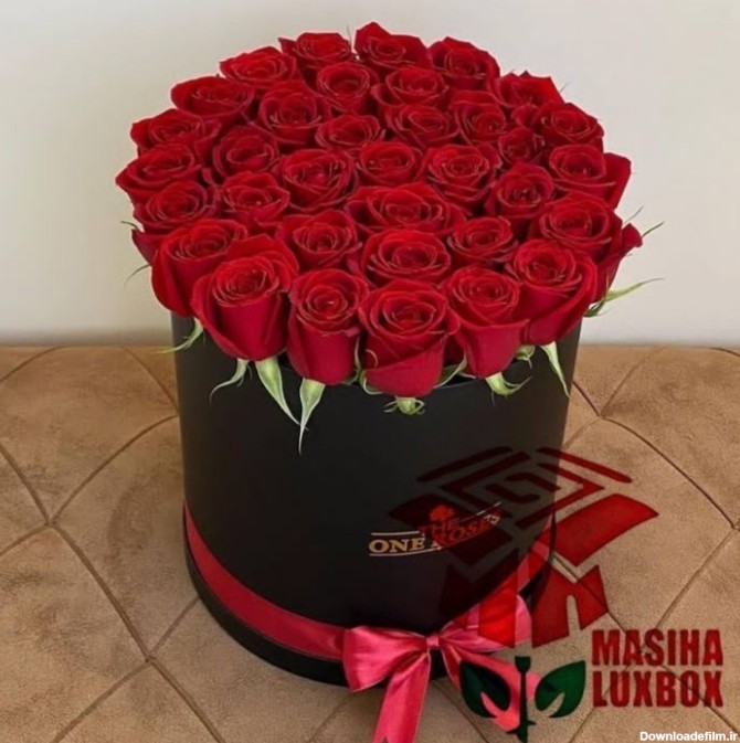 باکس گل رز قرمز - Rosyrose