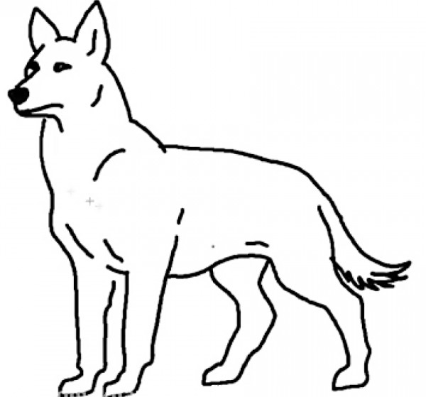 سگ ژرمن نقاشی