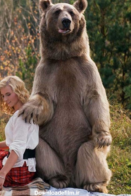 روز خوب مادر، دختر و خرس مهربون+تصاویر