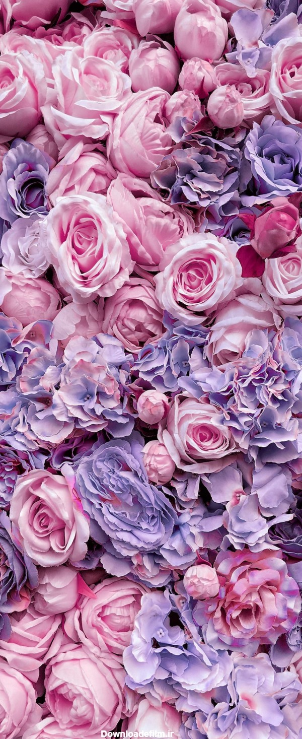 پس زمینه گل گلی برای گوشی - مجله نورگرام