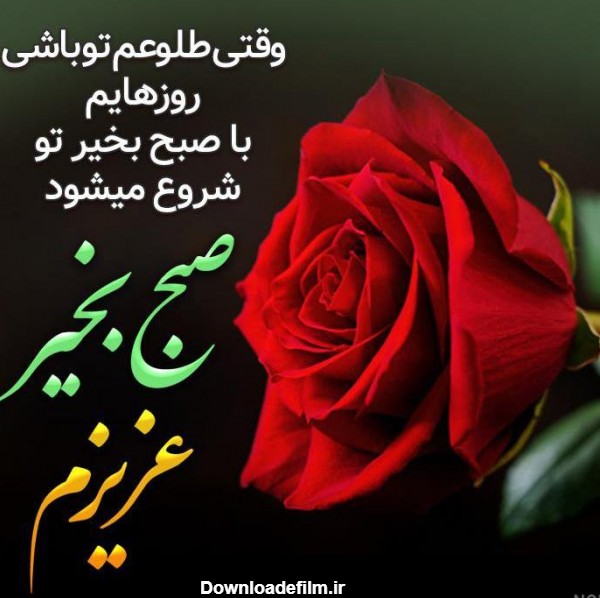 عکس صبح بخیر عزیزم - عکس نودی