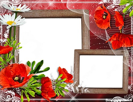 طرح لایه باز قاب عکس و فریم برای فتوشاپ با موضوع گل قرمز (Red Flower)