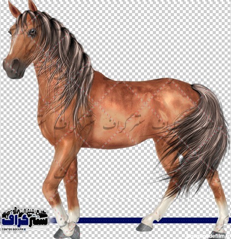 عکس دوربری اسب قهوه ای زیبا - png اسب قهوه ای زیبا - سنتر گراف