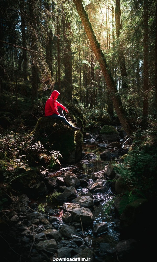 قاب مدیا | عکس زمینه گوشی با کیفیت گردشگری تنهایی , جنگل