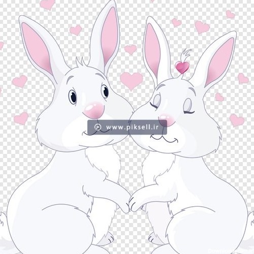 فایل دوربری شده خرگوش های عاشق بصورت کارتونی