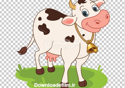 Borchin-ir- beautiful cute cow عکس کارتونی png گاو زیبا۲