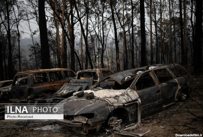 عکس/ جنگل های سوخته استرالیا