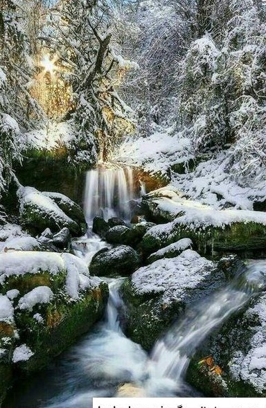 تصاویر زیبا از طبیعت در زمستان