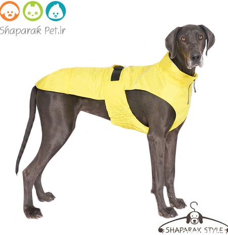 بارونی سگ ضد آب با لایه پشم و شیشه - خیلی بزرگ | پت شاپ شاپرک