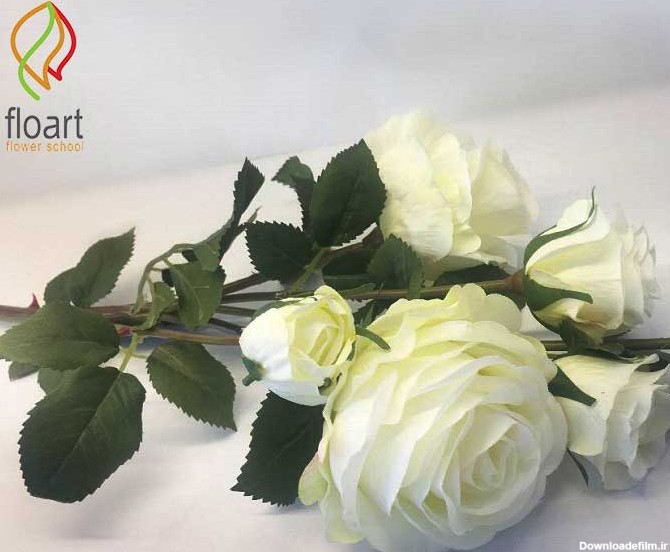30 نوع از انواع گل های سفید | آموزشگاه گل آرایی فلوآرت