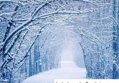 عکسهای زیبا از طبیعت در فصل زمستان