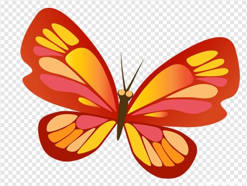 فایل دوربری شده پروانه زیبا بدون پس زمینه و ترانسپرنت