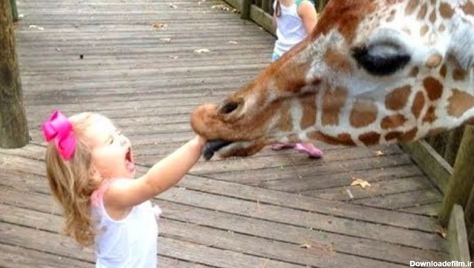 لحظات دیدنی ثبت شده میان کودکان و حیوانات باغ وحش!