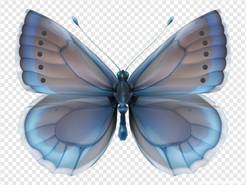 فایل png تصویر دوربری شده پروانه آبی (ترانسپرنت)