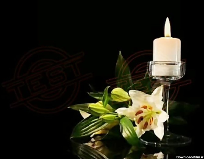 فوتیج شمع و گل