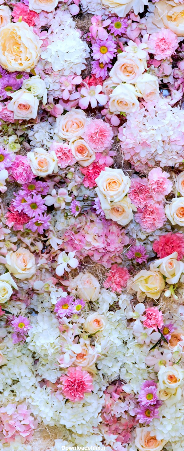 پس زمینه گل گلی برای گوشی - مجله نورگرام