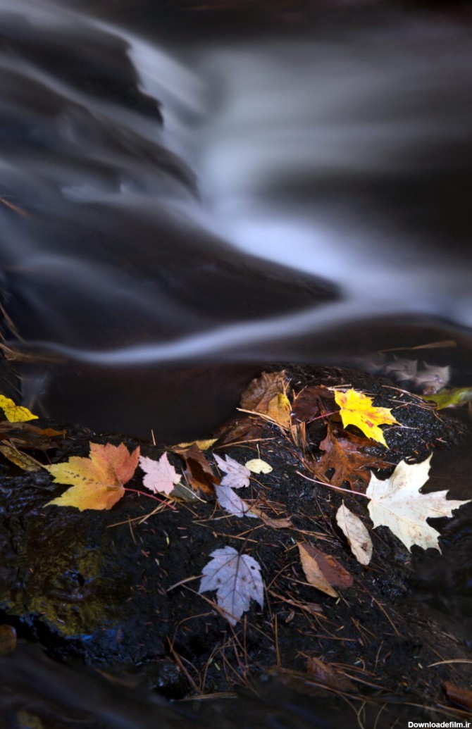 Autumn Leaves River Royalty-Free Stock Photo