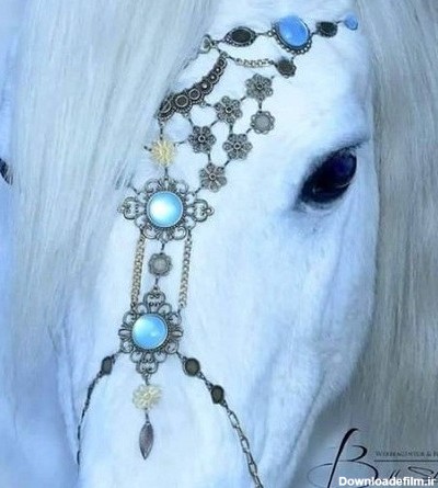 عکس اسب سفید در طبیعت برای پروفایل