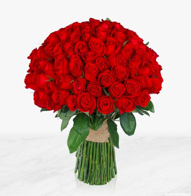 سفارش و خرید آنلاین دسته گل رز قرمز ساقه بلند |گل بازار