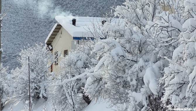 فرارو | (تصاویر) جلوه‌ای زیبا از منظره برفی شمال کشور