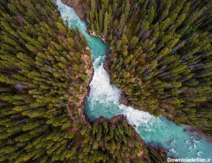 بکگراند تصویر هوایی از جنگل پر درخت و رودخانه