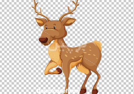 Borchin-ir-deer cartoon animal large photo وکتور کارتونی گوزن قهوه ای بانمک۲