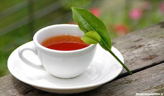 انواع چای سیاه ایرانی | بهترین چای ایرانی چیست؟