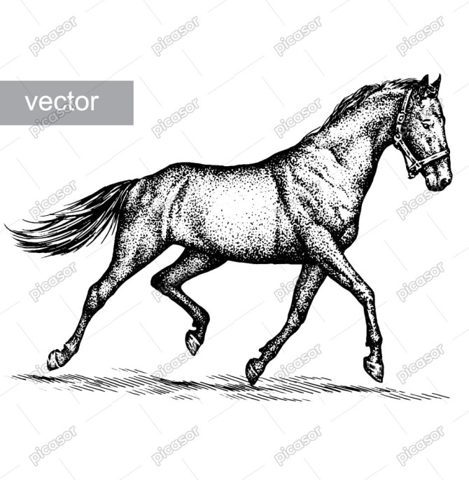 وکتور نقاشی اسب با نقطه » پیکاسور