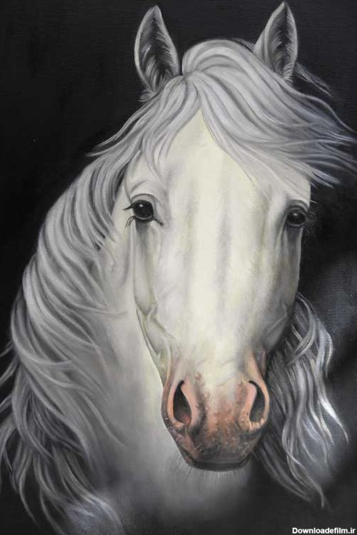 دانلود تصویر نقاشی اسب سفید | تیک طرح مرجع گرافیک ایران