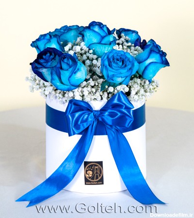 باکس گل رز آبی - گل تهران