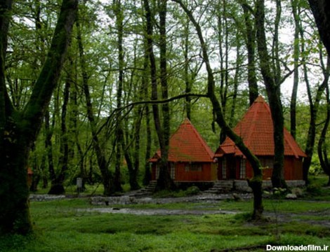 بزرگ ترین پارک‌های جنگلی ایران