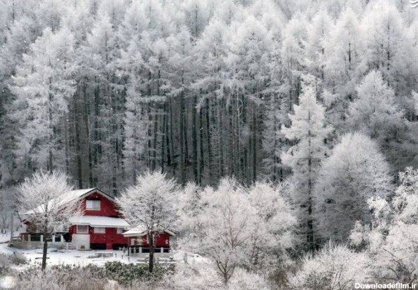 مشرق نیوز - عکس/ طبیعت زیبای زمستانی در ژاپن