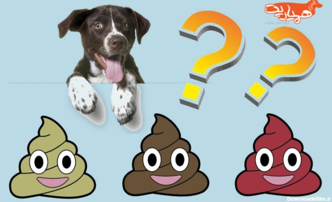 هر رنگ مدفوع سگ نشانه چیست؟