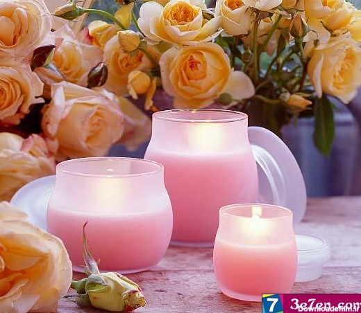 شمع و گل و پروانه - عکس ویسگون