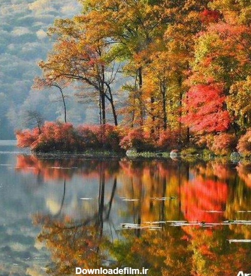 عکس زیبای طبیعت پاییزی
