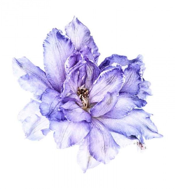 کلیپ آرت باکیفیت گل آبی رنگ بزرگ