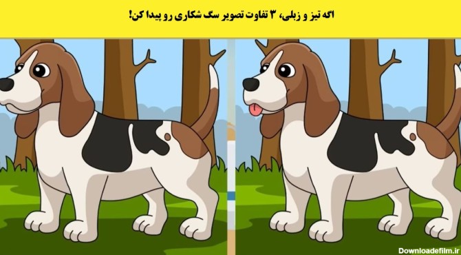 اگه تیز و زبلی، 3 تفاوت تصویر سگ شکاری رو پیدا کن!