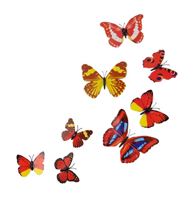 دانلود طرح پروانه های رنگی