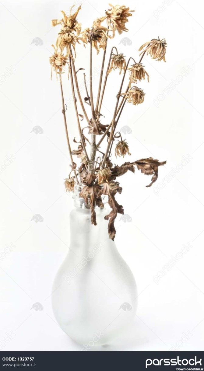گل ها در گلدان پژمرده 1323757