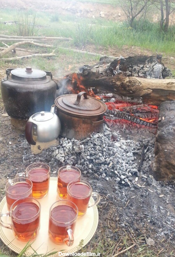 چای هیزمی - عکس ویسگون
