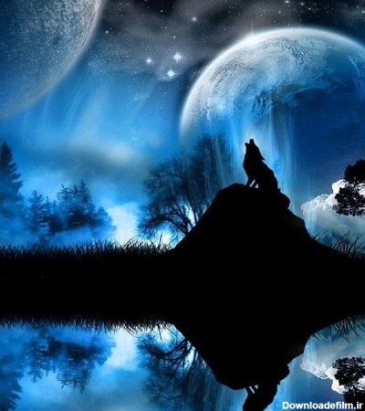 انعکاس عکس گرگ و ماه در آب