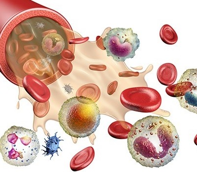 علوم هفتم فصل 14 دستگاه گردش مواد انواع سلول های خونی