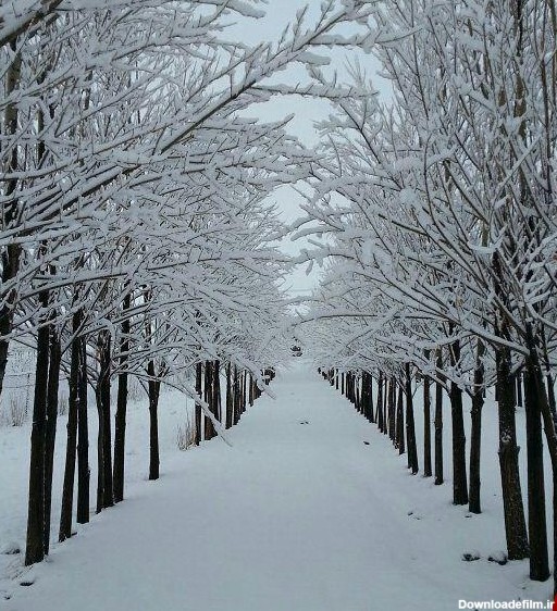 نمایی از طبیعت زمستانی در ورزقان + تصاویر