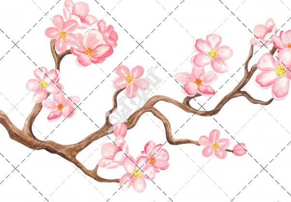 عکس نقاشی شکوفه شاخه درخت