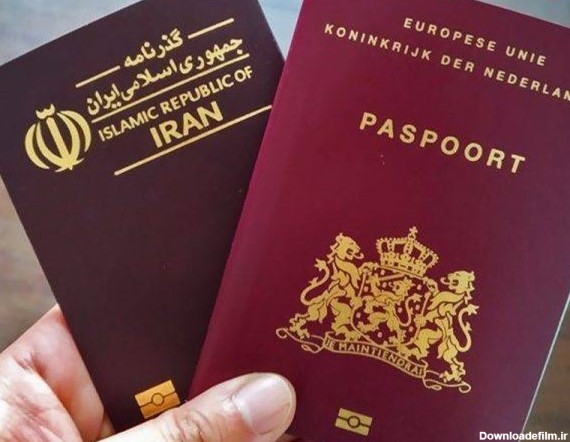 نکات مهم در رابطه با عکس پاسپورت که باید بدانید | عکس نایت
