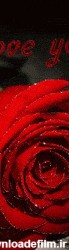 عکس متحرک گل رز قرمز