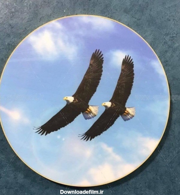 عکس عقاب در فنگ شویی